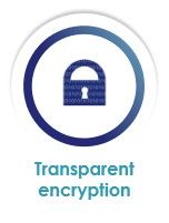 Vormetric_Transparent_Encryption.jpg